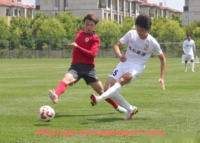 开云体育官网app下载-世俱杯可持续发展战略规划的内容详解及实施方案