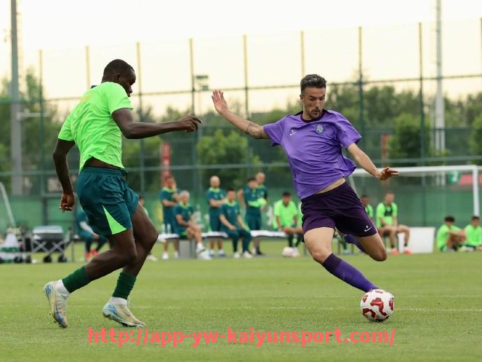 开云体育官网app下载-法甲2025年赛季各轮次比赛时间:法甲2025赛季各轮比赛的具体时间安排