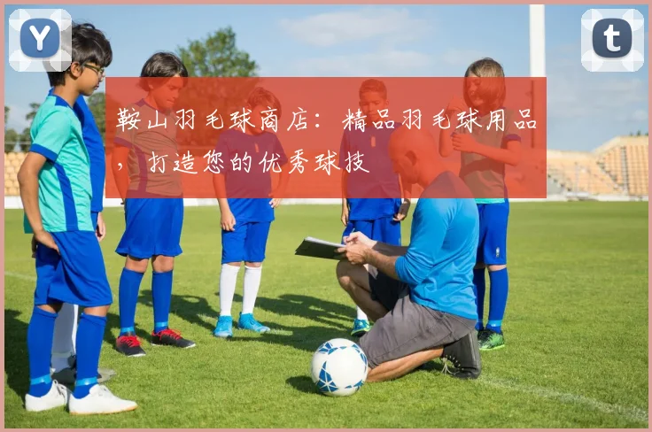 鞍山羽毛球商店：精品羽毛球用品，打造您的优秀球技