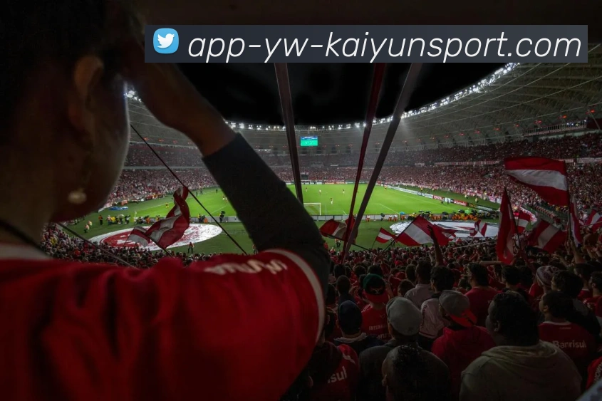 开云APPAPP 封面图